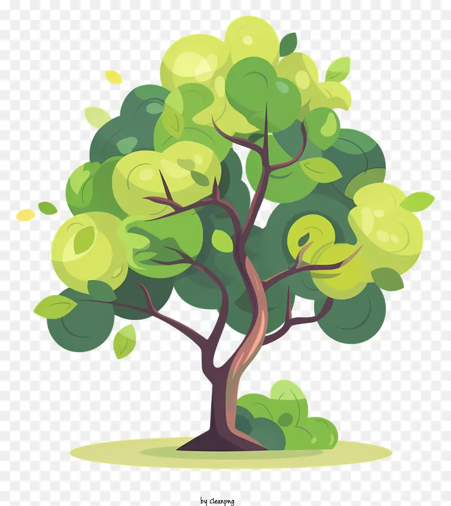 декоративное дерево，зеленое дерево PNG