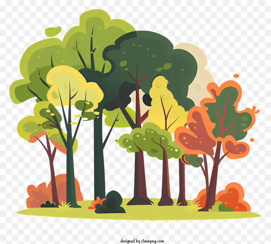 лесные деревья，лес PNG