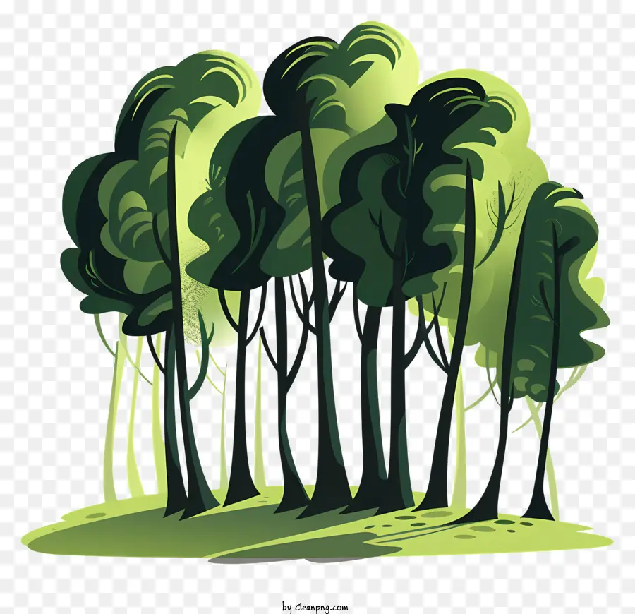 лесные деревья，зеленый лес PNG