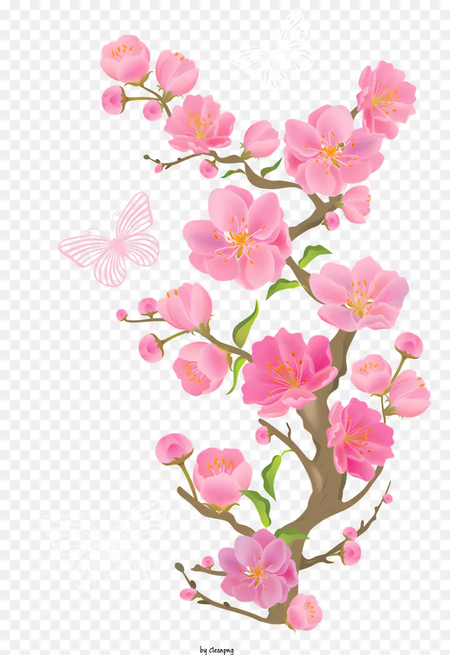 цветы，цветок PNG