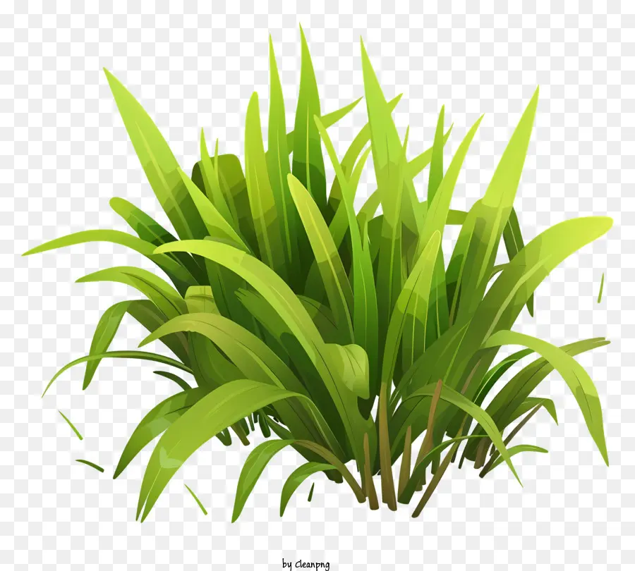 весенней травы，зеленая трава PNG