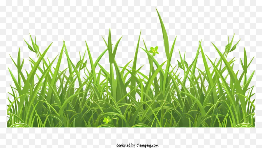 весенняя граница травы，зеленая трава PNG
