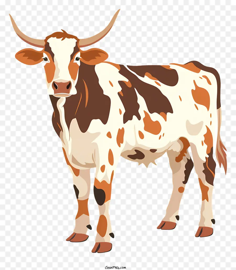 Херефорд корова，корова PNG