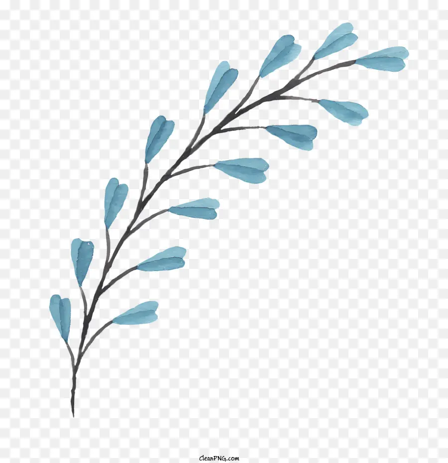 цветы，синие листья PNG