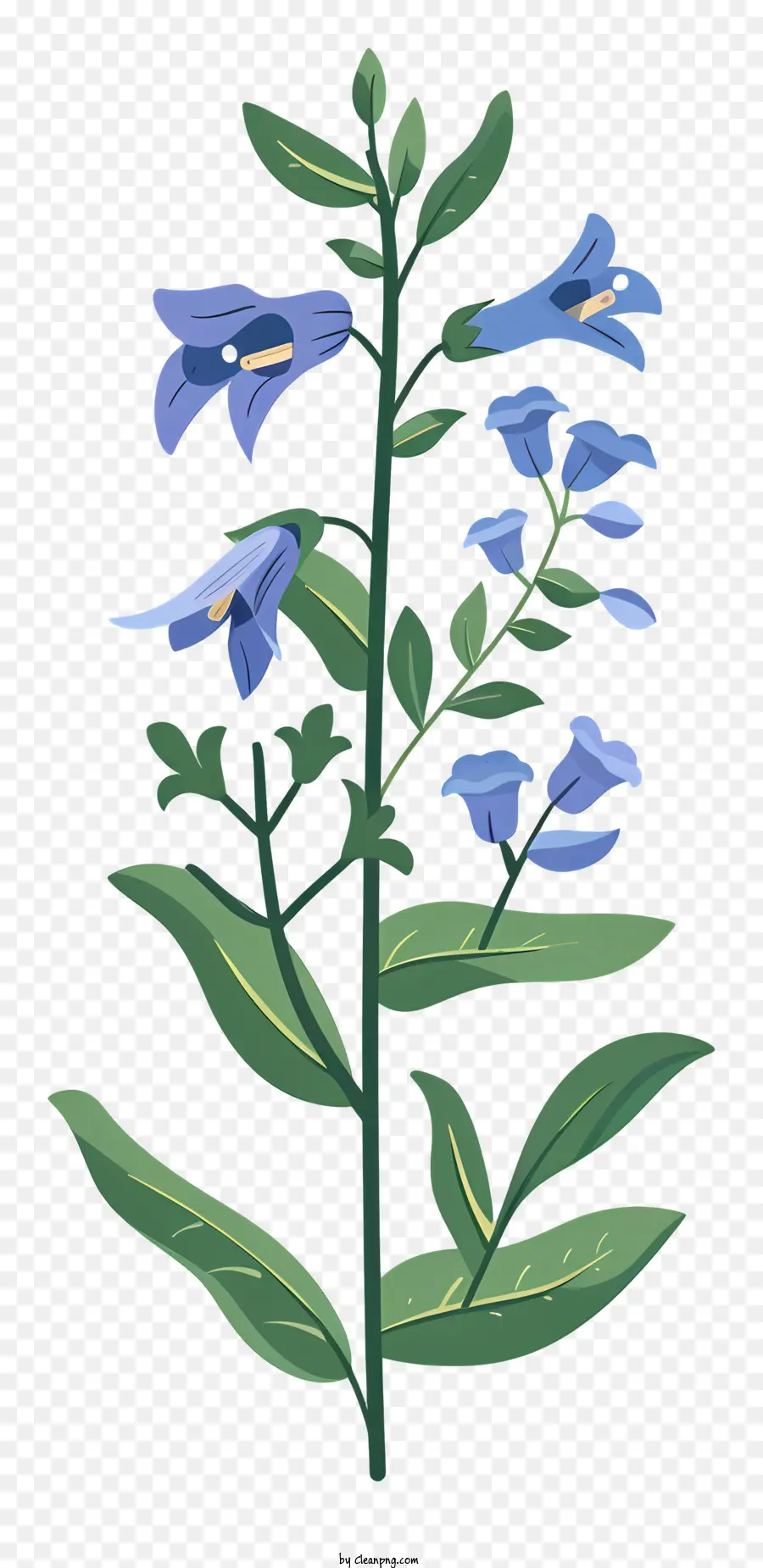 трава черепа，синие цветы PNG