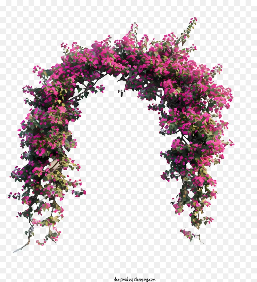 Весенний цветочный дверной проем，Бугенвиллея PNG