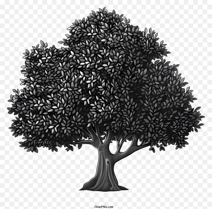 силуэт дерева，Дерево PNG