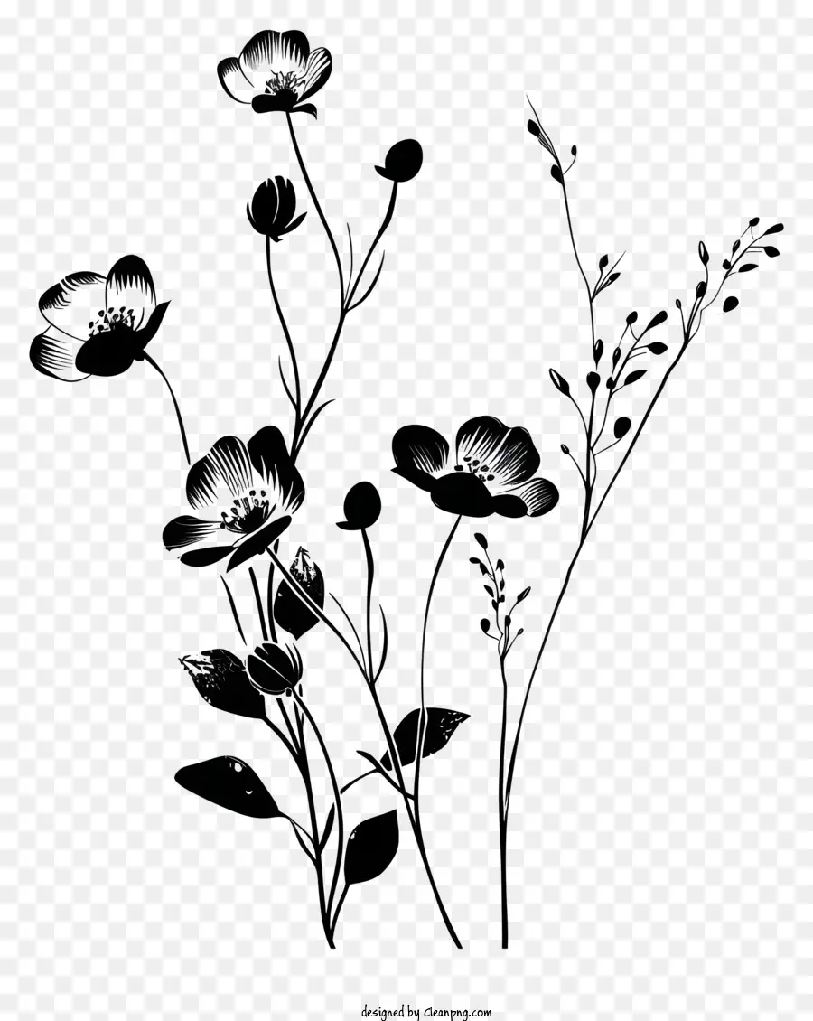 цветок силуэт，черно белые цветы PNG