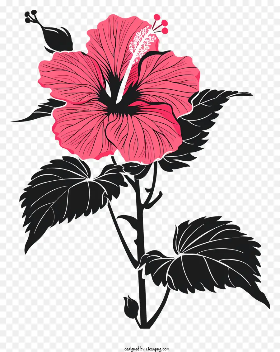 цветок силуэт，Розовый цветок гибискуса PNG