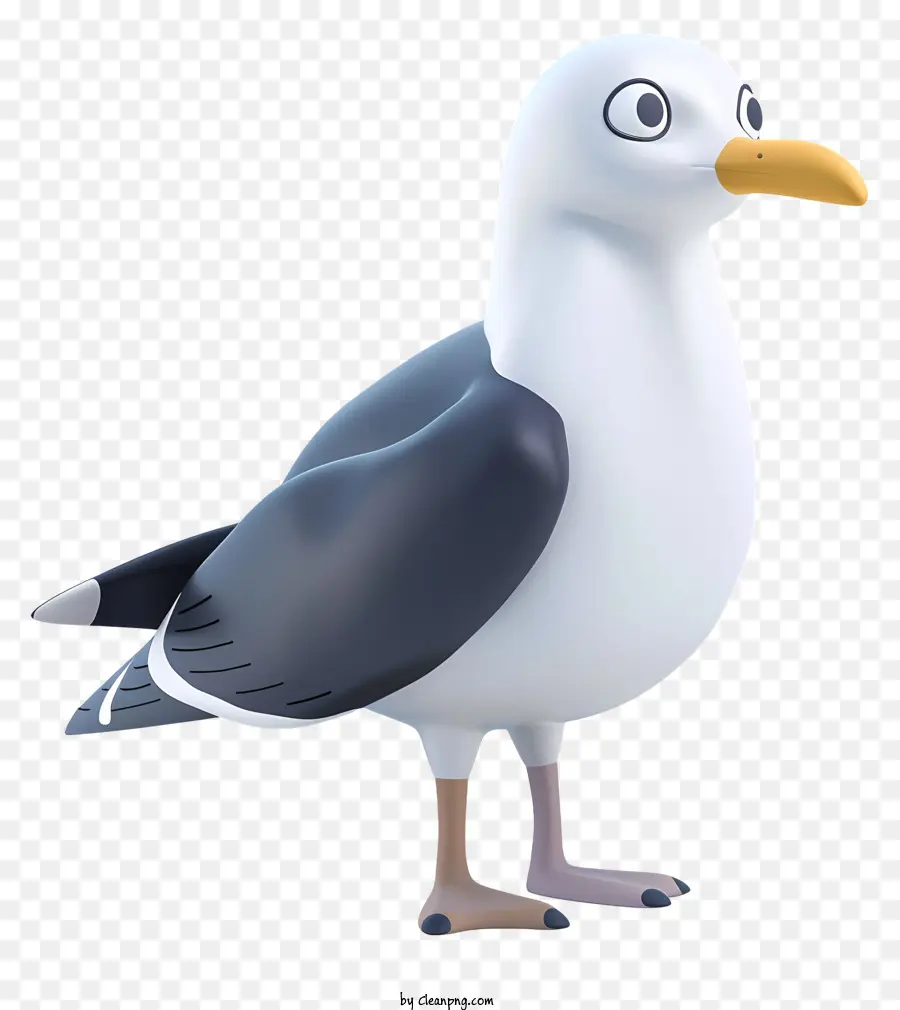Seagull，Птица PNG