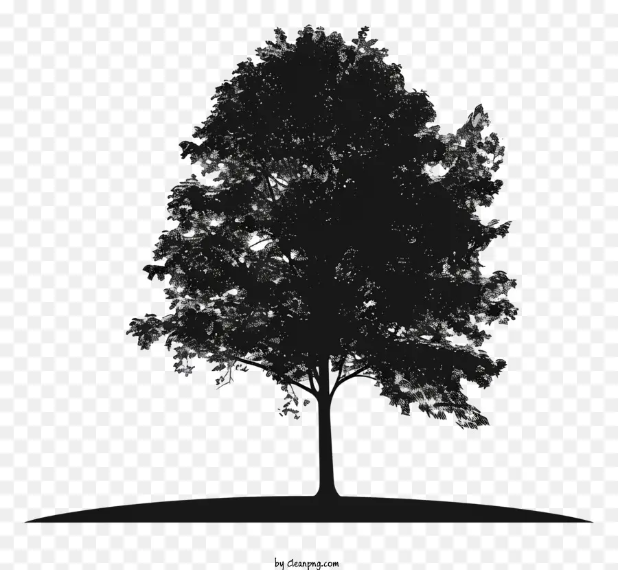 силуэт дерева，Дерево PNG