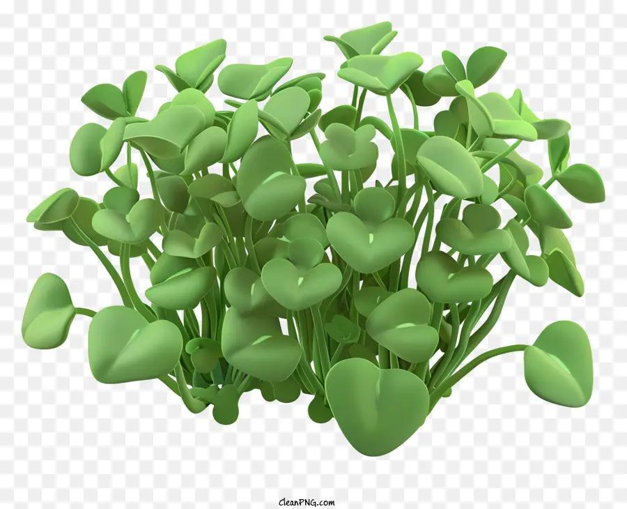 Кресс，зеленое растение PNG