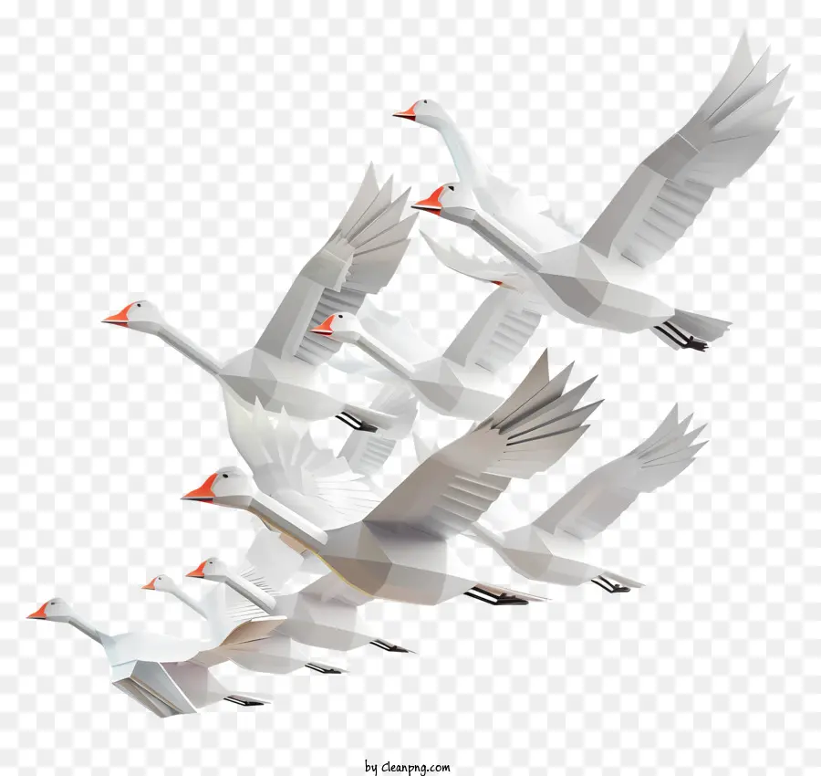 мигрирующие гуси，Белые лебедей PNG