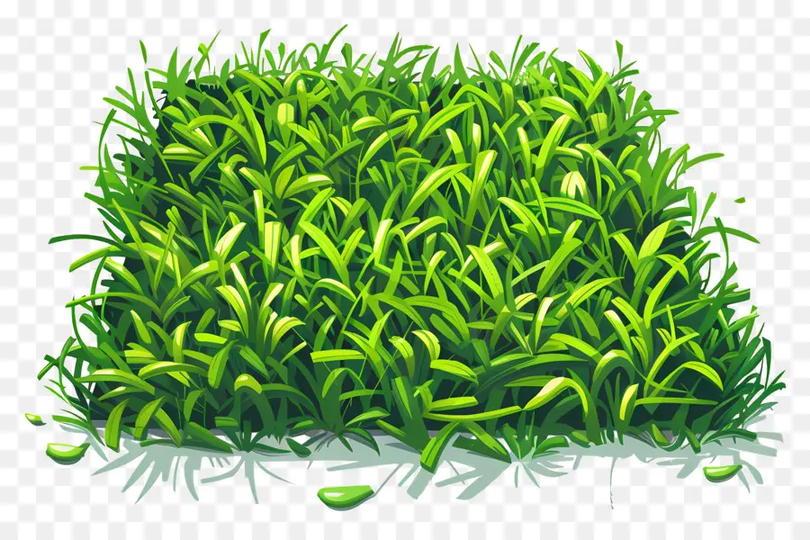 трава，зеленое поле PNG