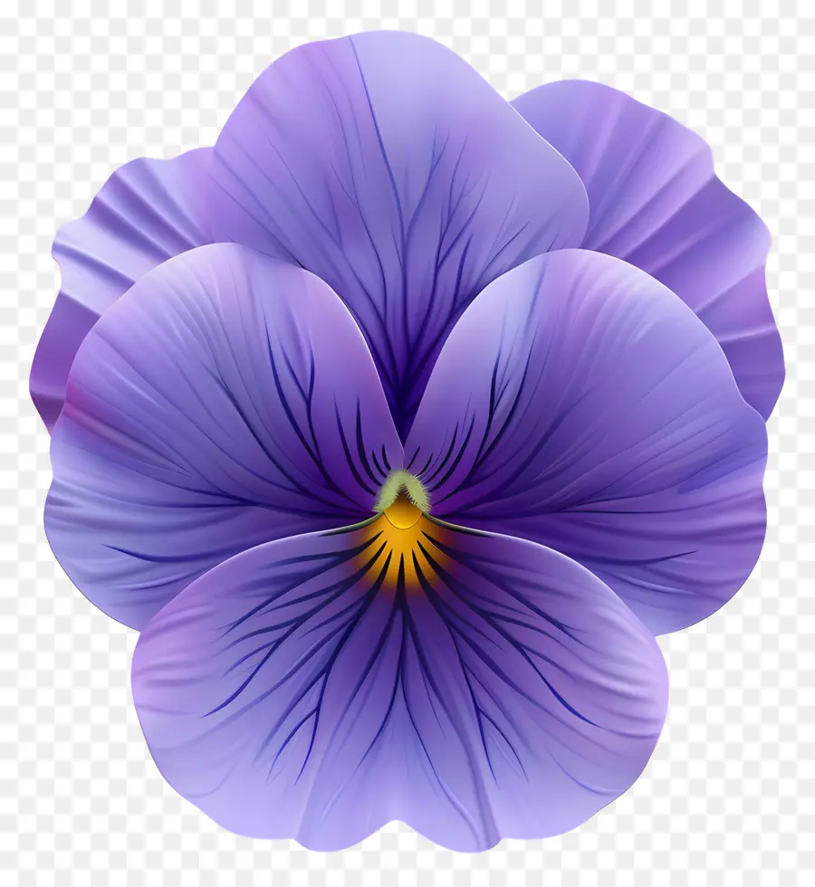 анютины глазки цветок，Фиолетовый цветок анютины PNG