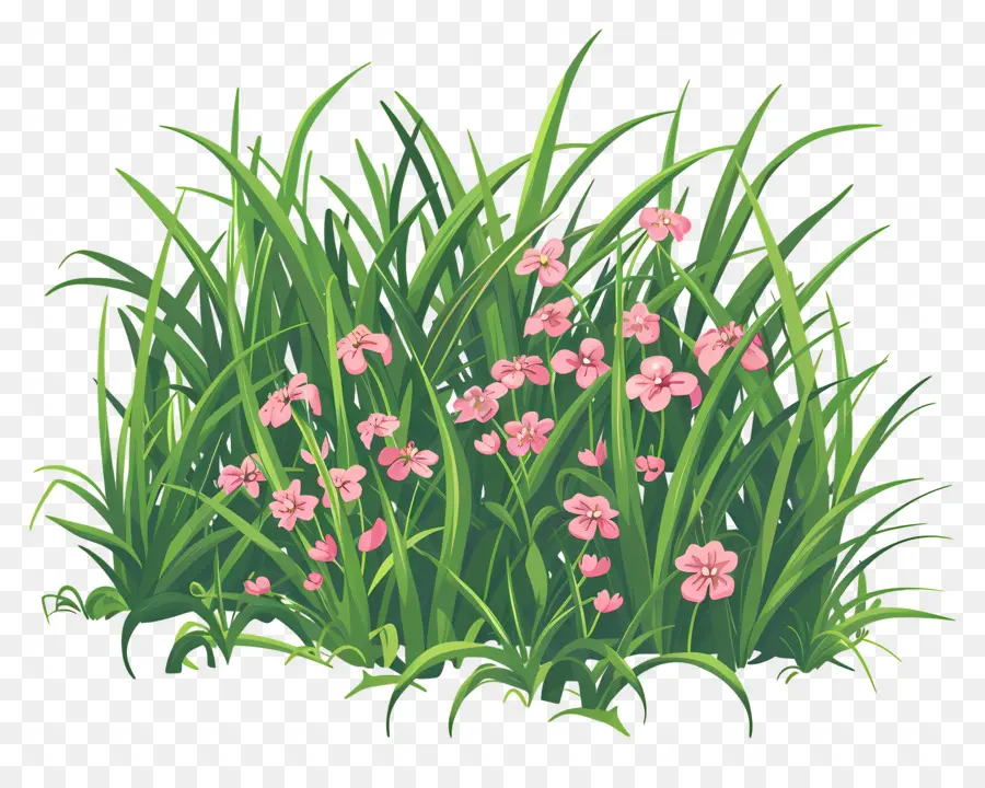 трава，Розовые цветы PNG