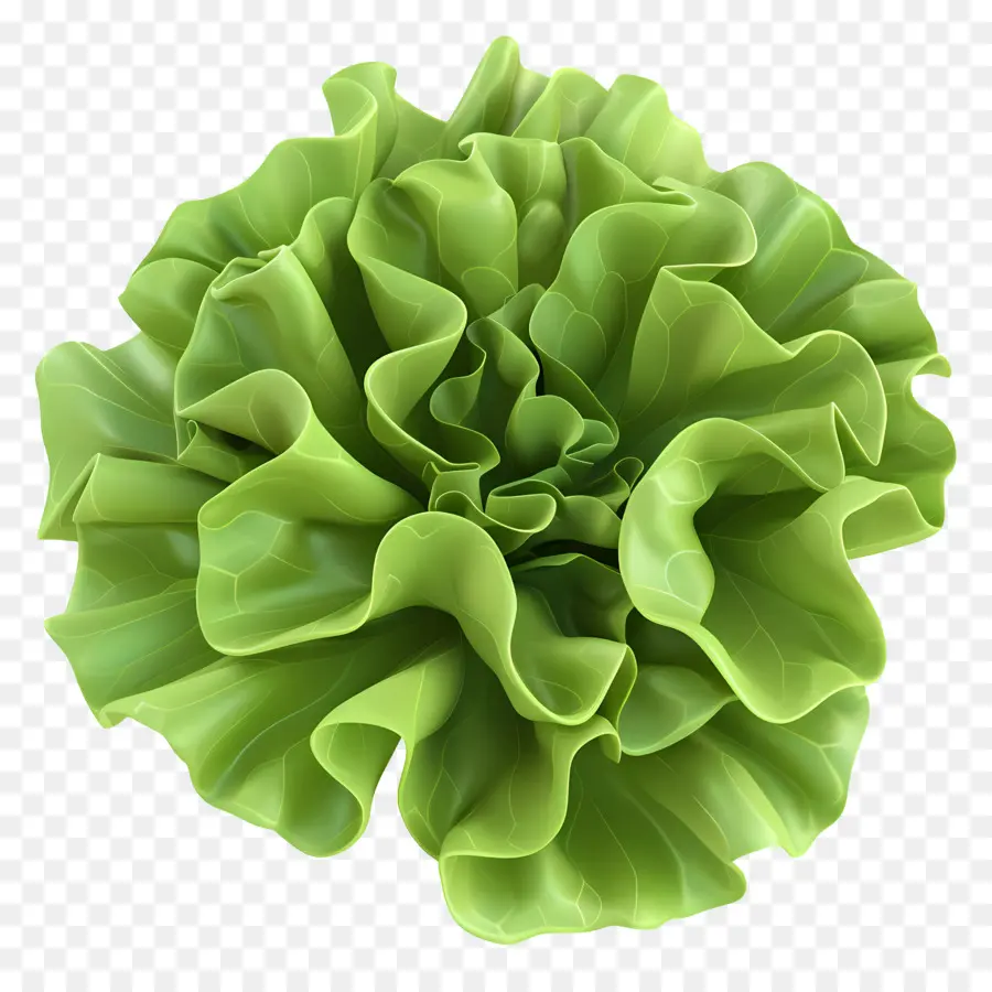 Lettuce，зеленый лист PNG