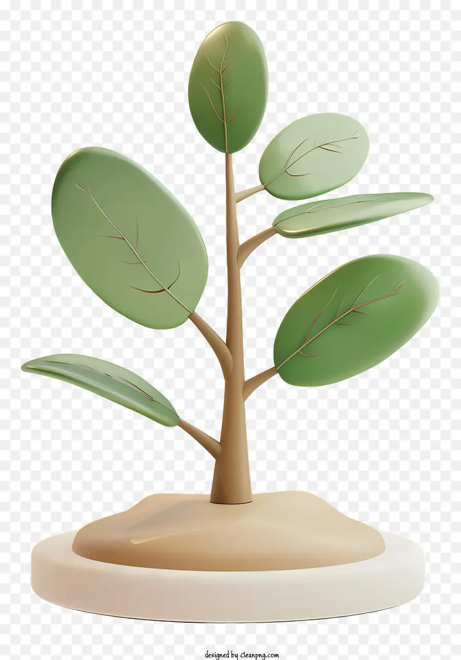 саженец，зеленое растение PNG