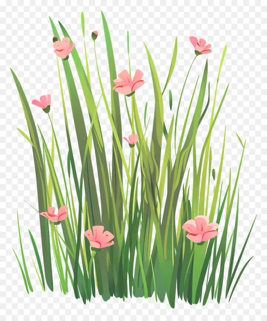 трава，полевые цветы PNG