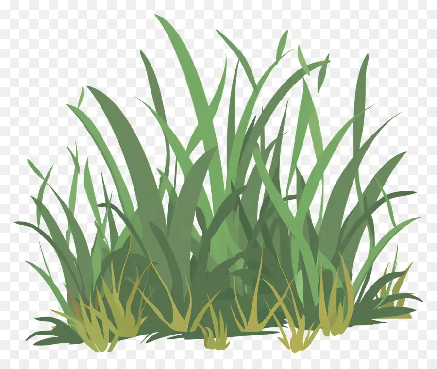 трава，зеленая трава PNG