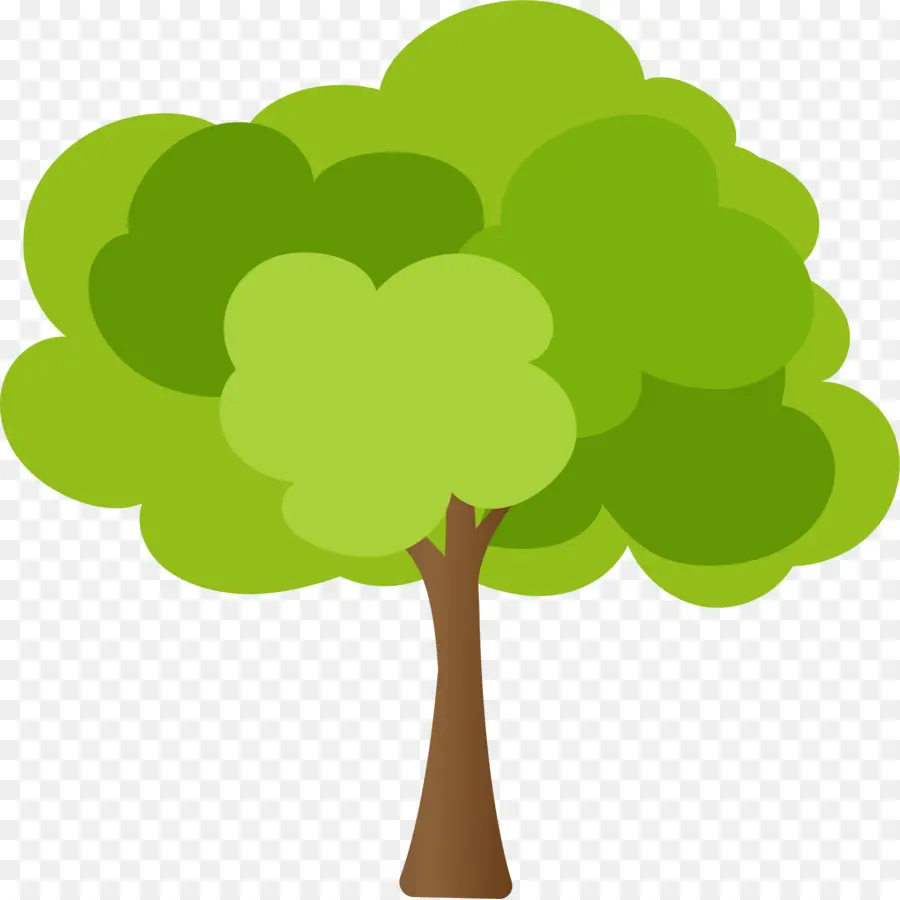 Лист，зеленое дерево PNG