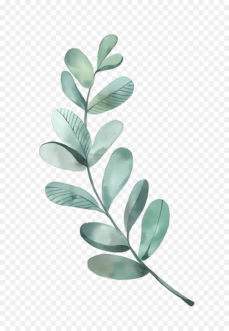 Лист，Зеленый листовой ветвь PNG