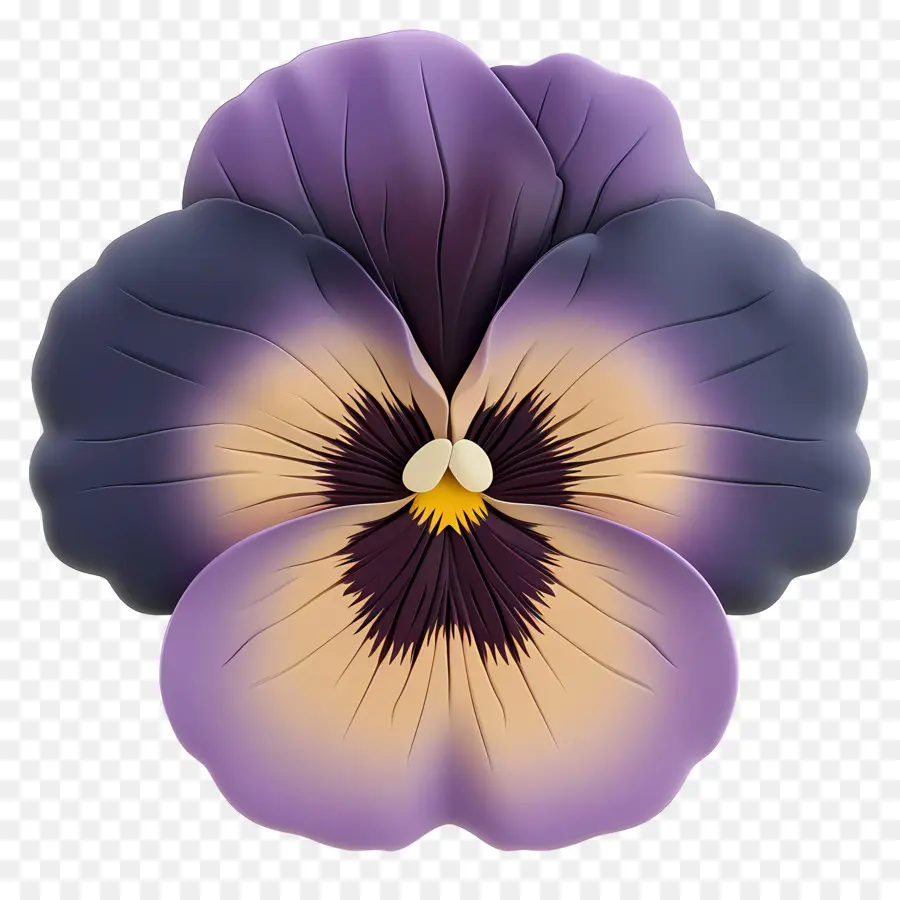 анютины глазки цветок，Фиолетовый цветок PNG