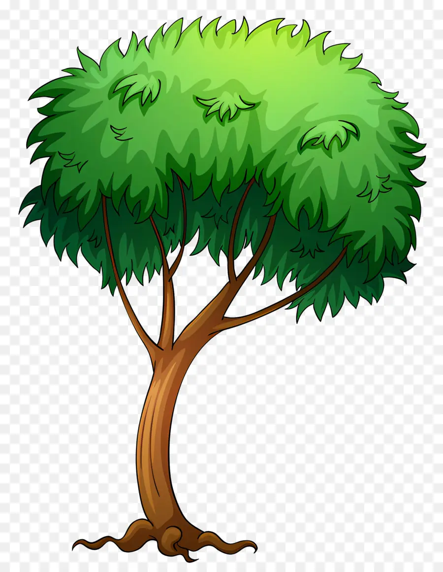 Лист，зеленое дерево PNG