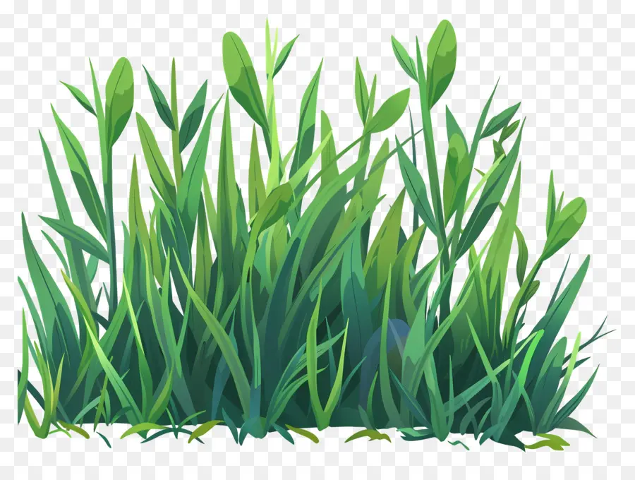 трава，зеленое поле PNG