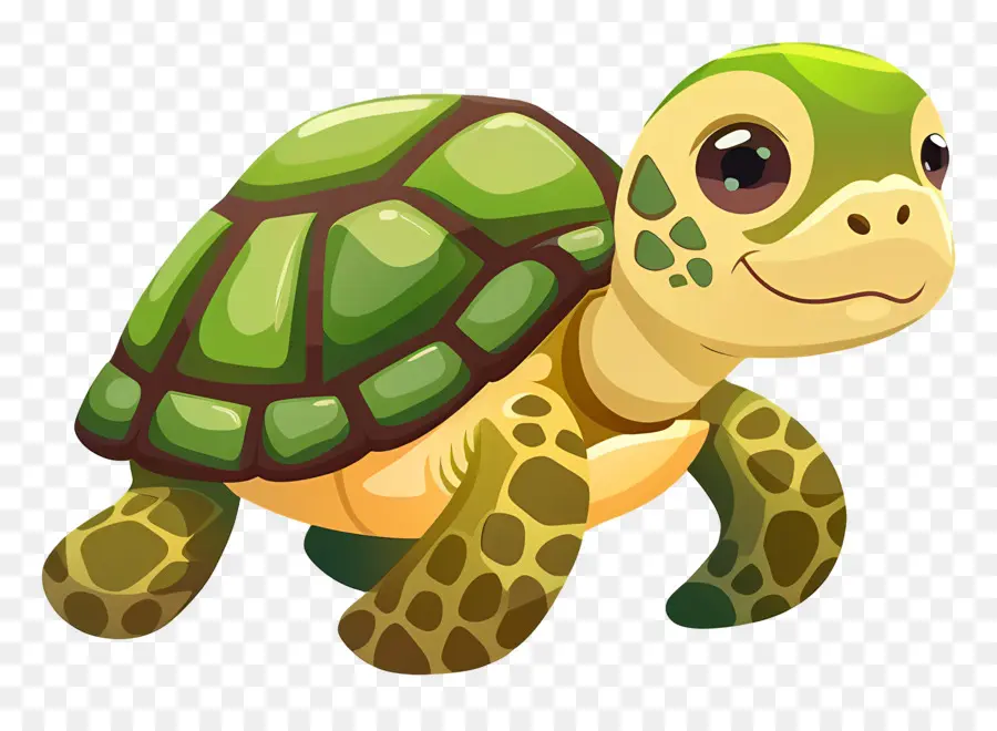 мультфильм черепаха，симпатичные черепаха PNG