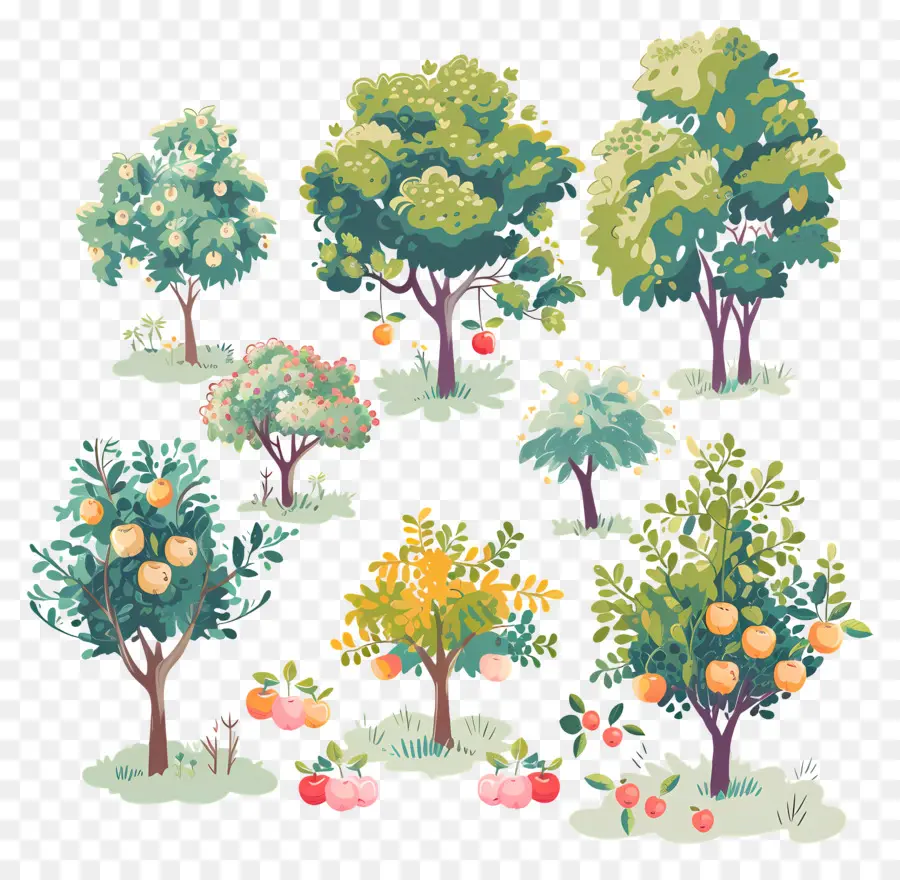 сад，фруктовые деревья PNG