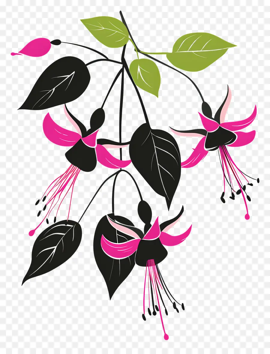 цветы силуэт，Розовый труба цветок PNG