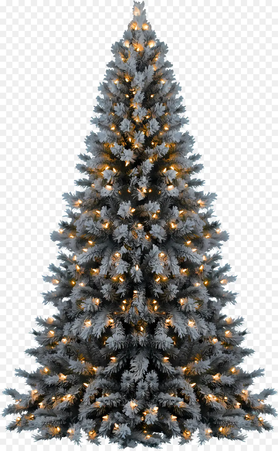 Дерево，Рождественская елка PNG