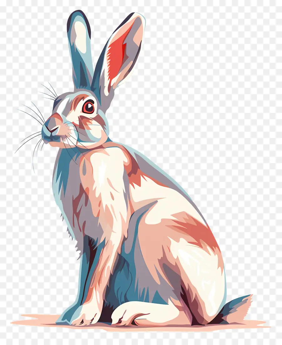 Заяц，Кролик PNG