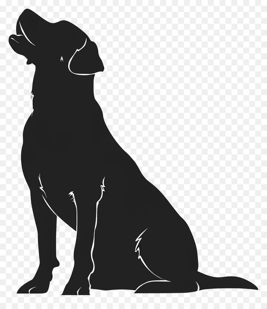 силуэт собаки，Большая порода собака PNG