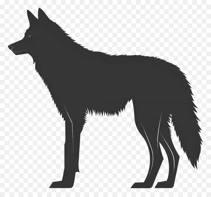 волк силуэт，волк PNG