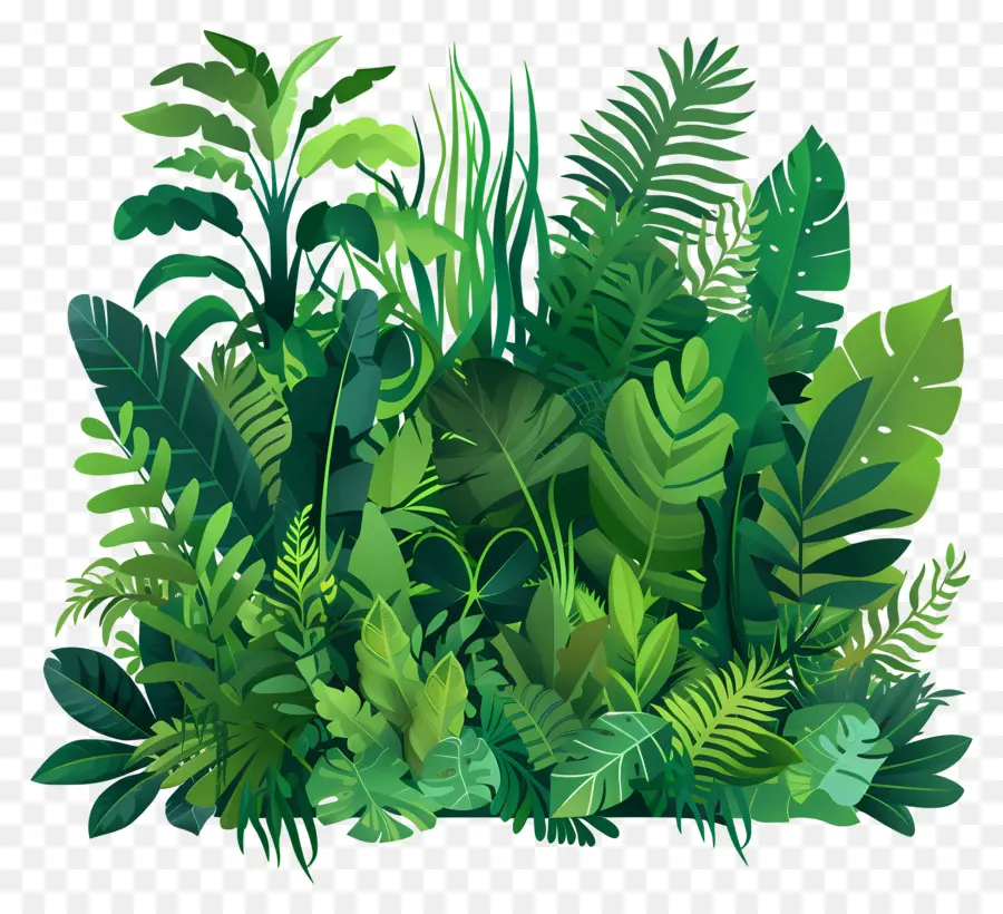 пышная зелень，зеленые растения PNG