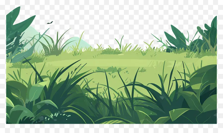 трава поле，лес PNG
