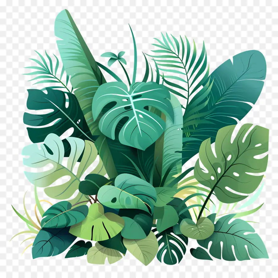 пышная зелень，тропические растения PNG