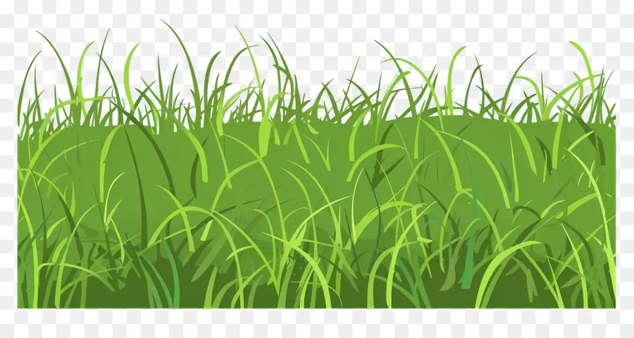 травяное поле，трава PNG