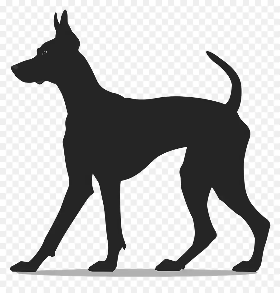 силуэт собаки，стоящая собака PNG