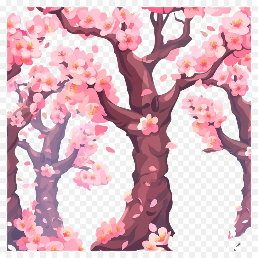 Весна сакура，Вишневые деревья PNG