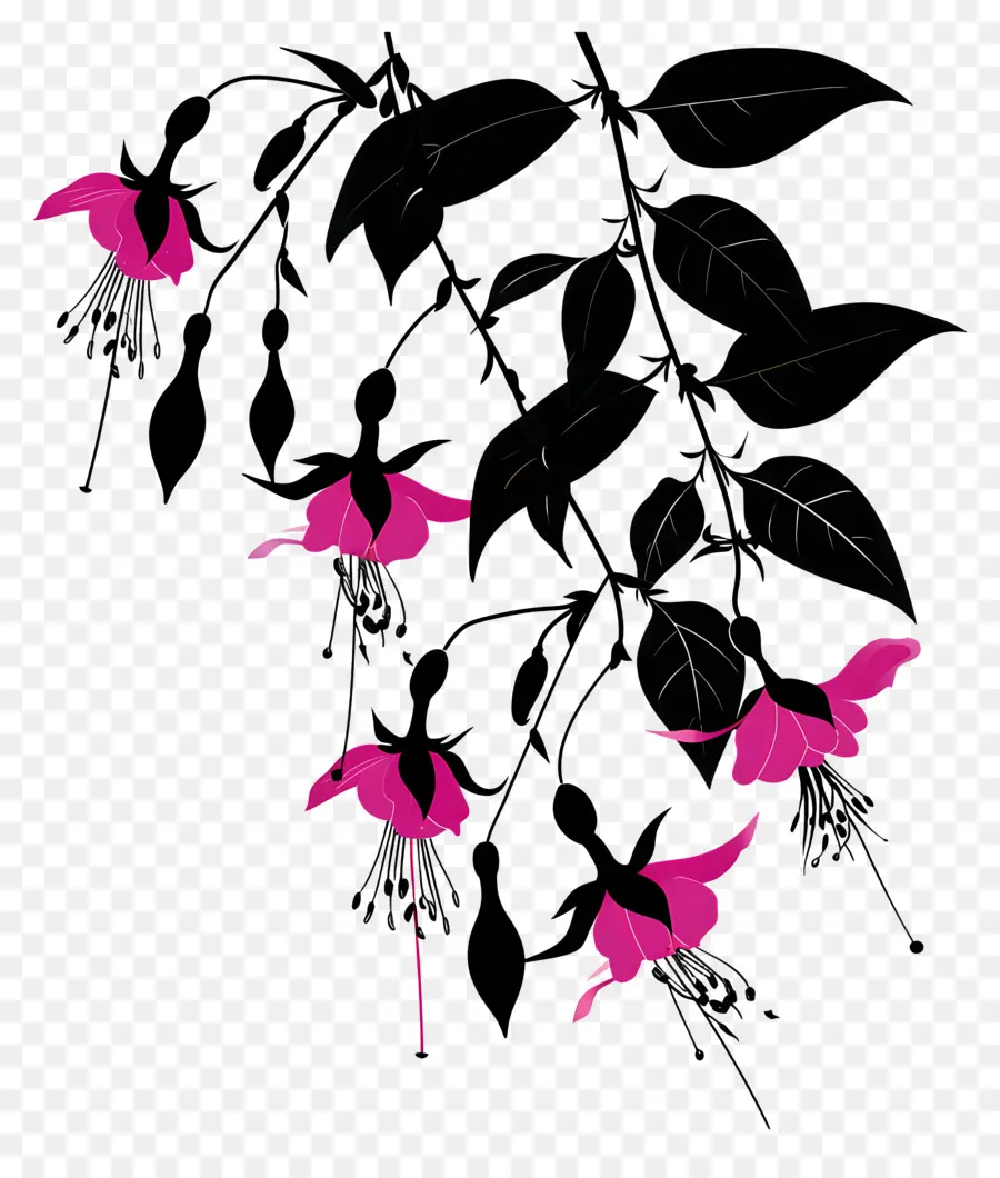 цветы силуэт，розовый цветок PNG