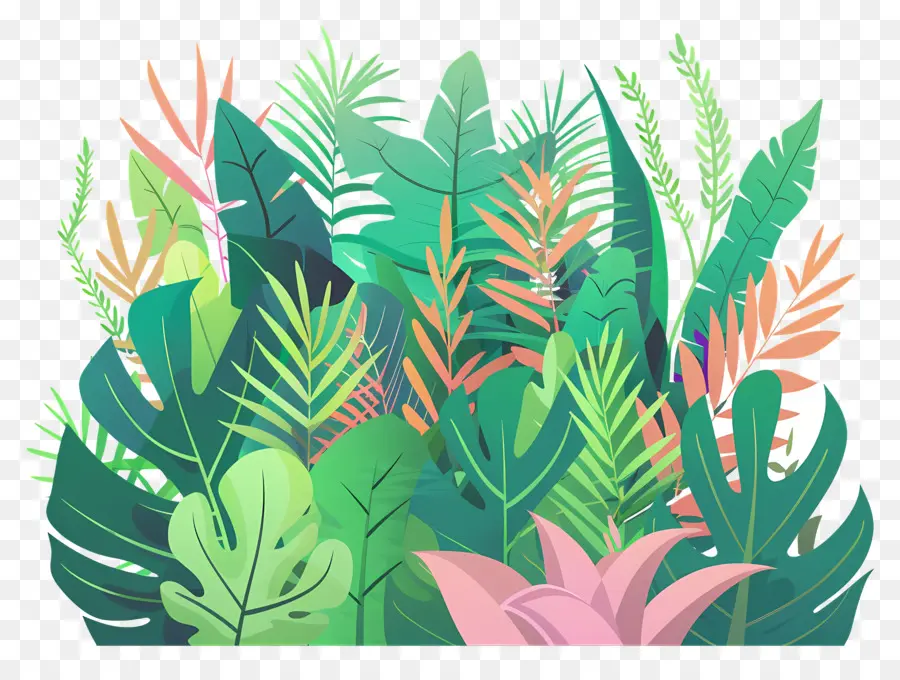 пышные растения，тропические джунгли PNG