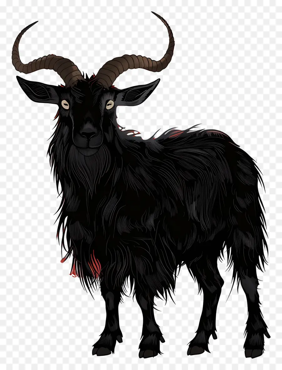 коза，Черный коз PNG