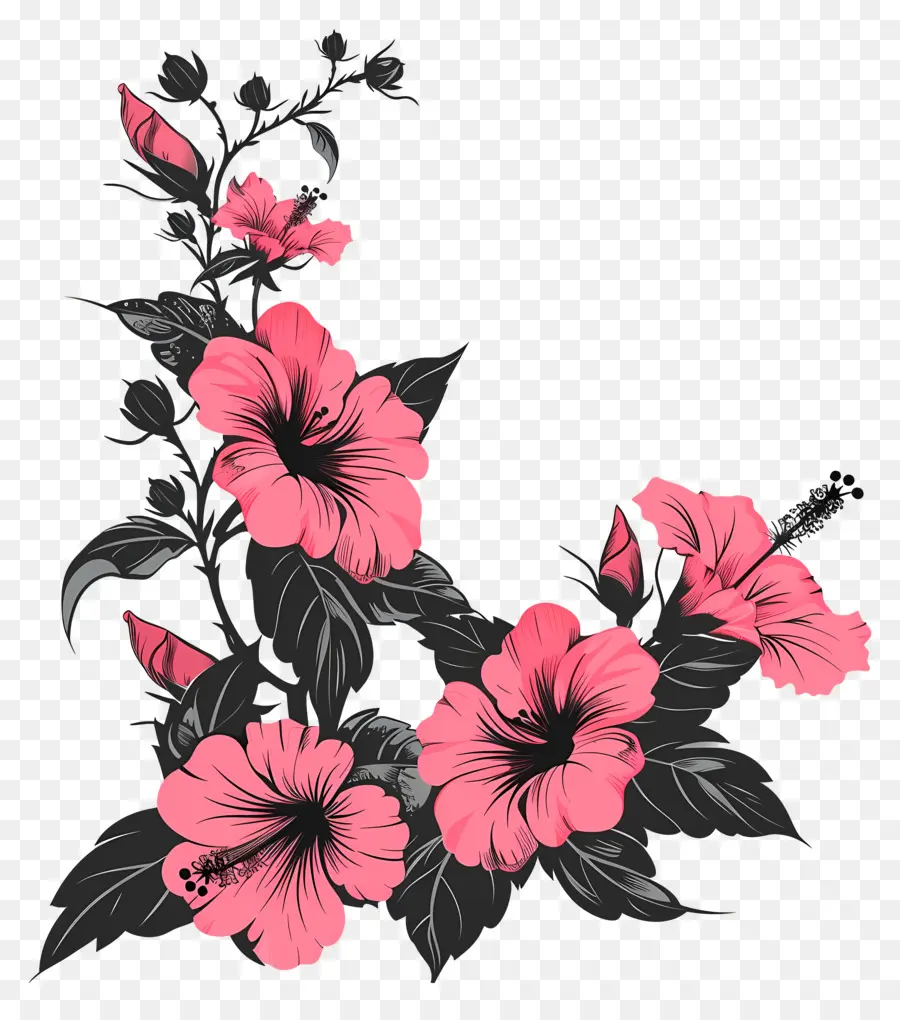 цветы силуэт，Розовые цветы гибискуса PNG