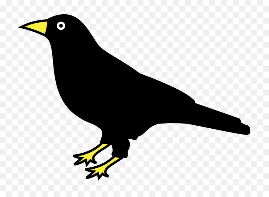 Логотип воронов，Птица PNG