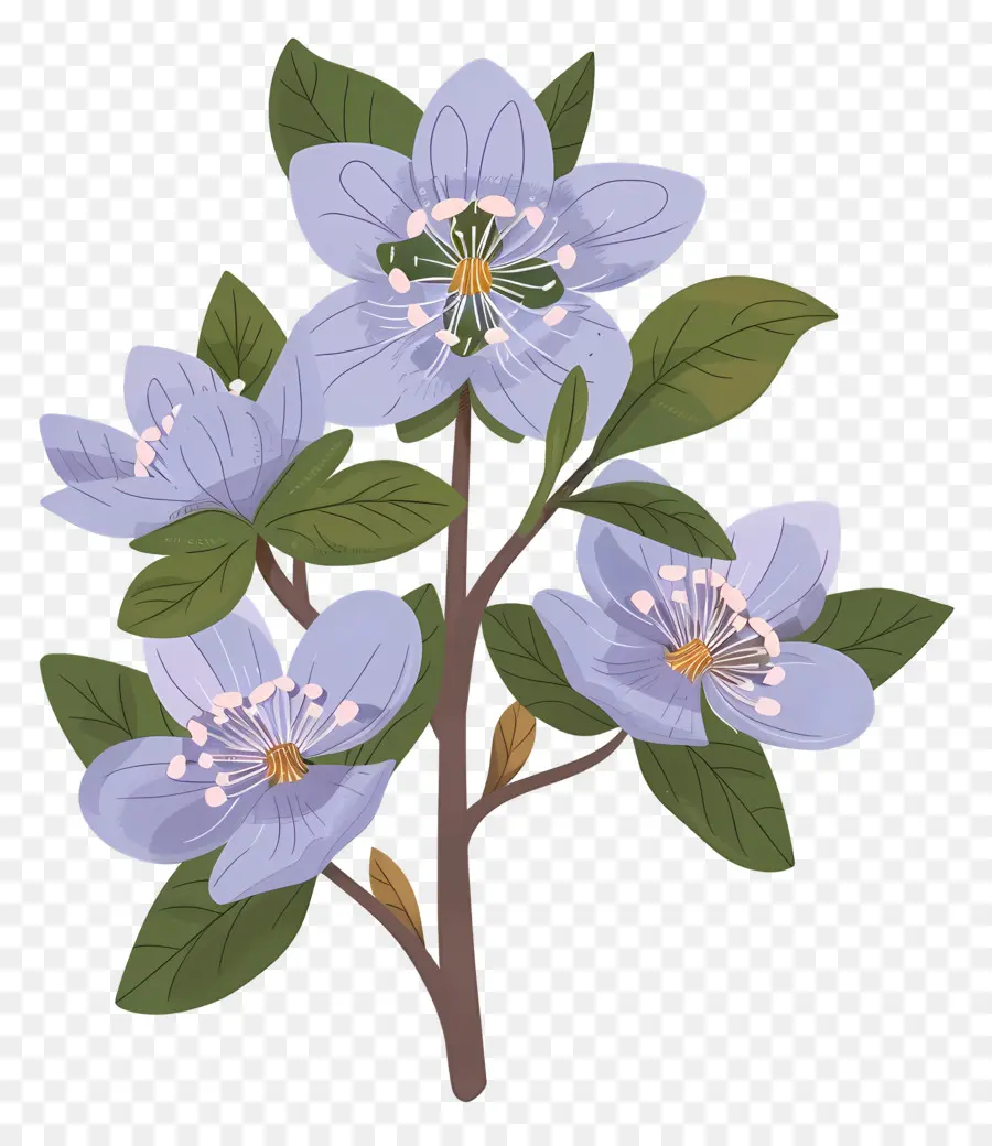 Цветок штата Аляска，фиолетовые цветы PNG