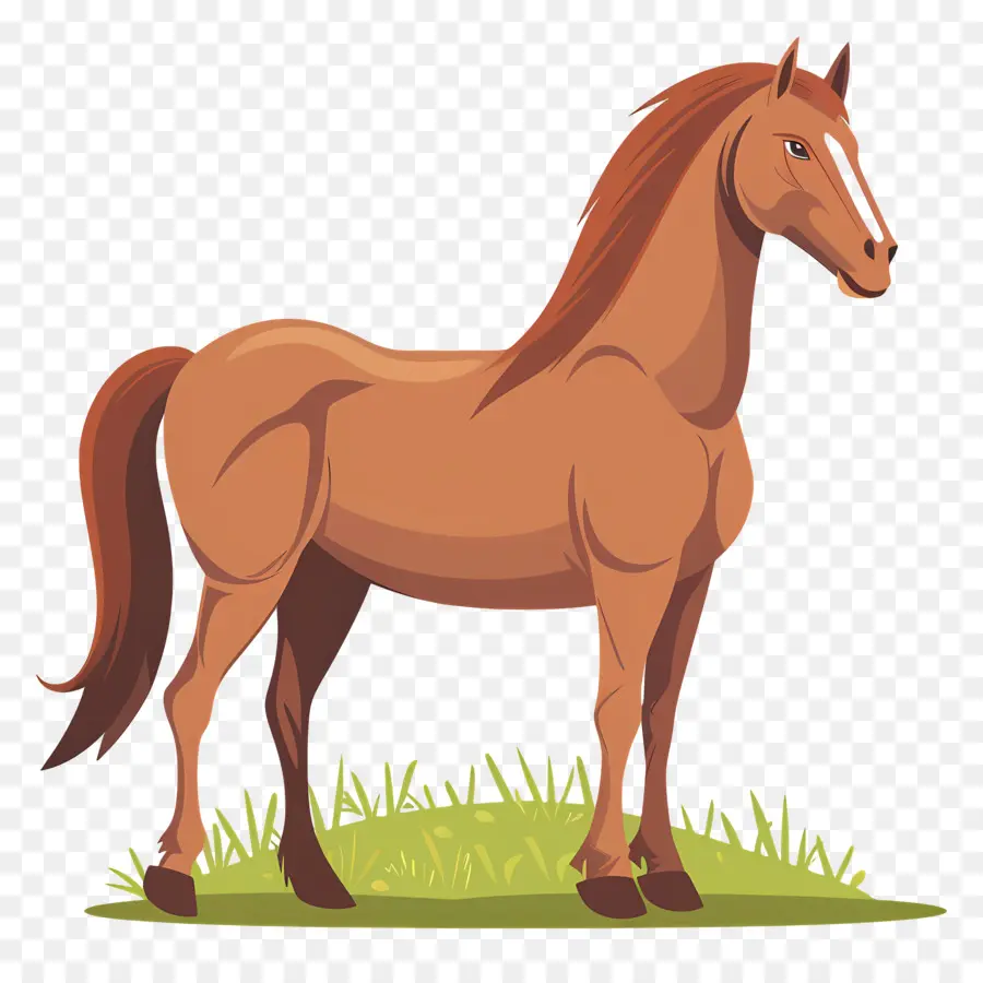 коричневая лошадь，лошадь в травянистую поле PNG