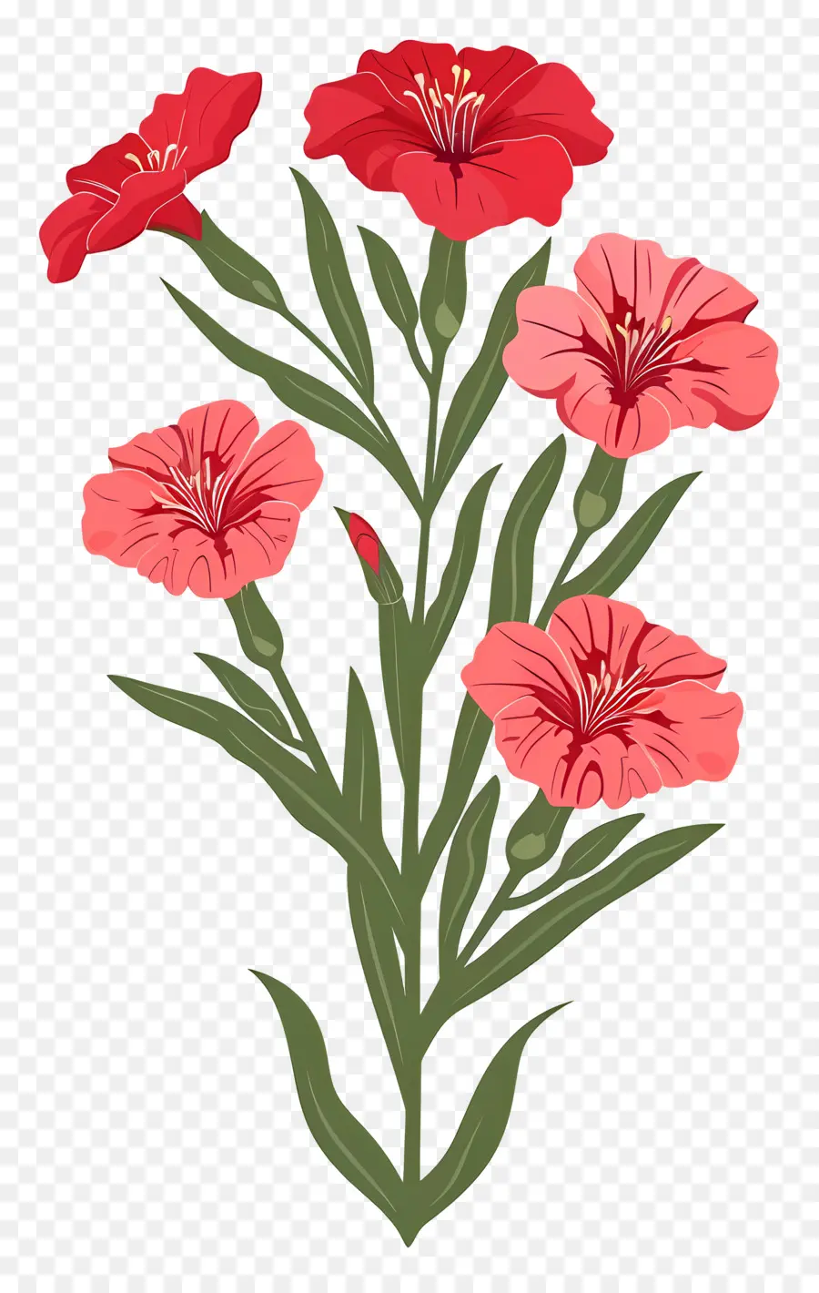 Цветок Дианта，Розовые цветы PNG